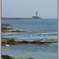 Ile Sein4